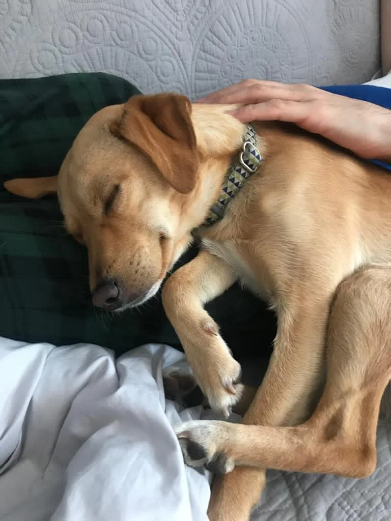 5EAB3AC0-8EAD-4B8C-BC87-831EC6C0E463