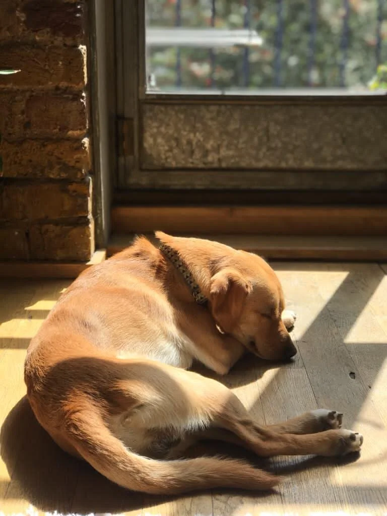 F63B4A39-7CCF-4E2A-A2BF-C7A6834D9898