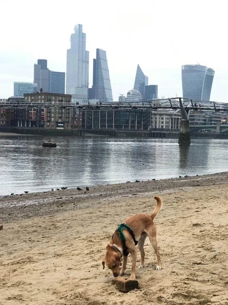 66D2F16A-2B94-4A99-B849-16778A204F09