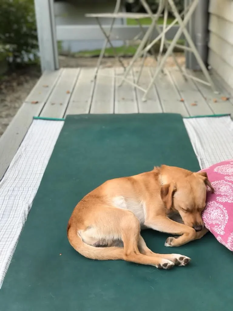 BF3FD104-7290-4C72-960A-5EC3B6F65CBF