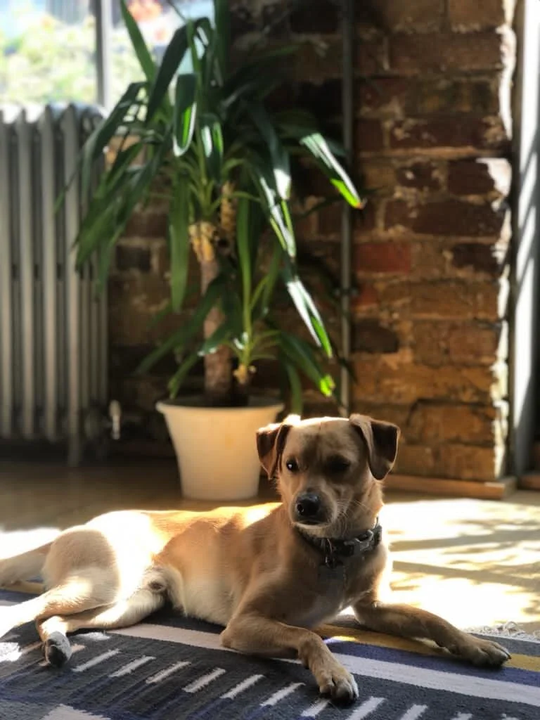 FA76730F-4CF0-435E-94E9-3E3D1404F787