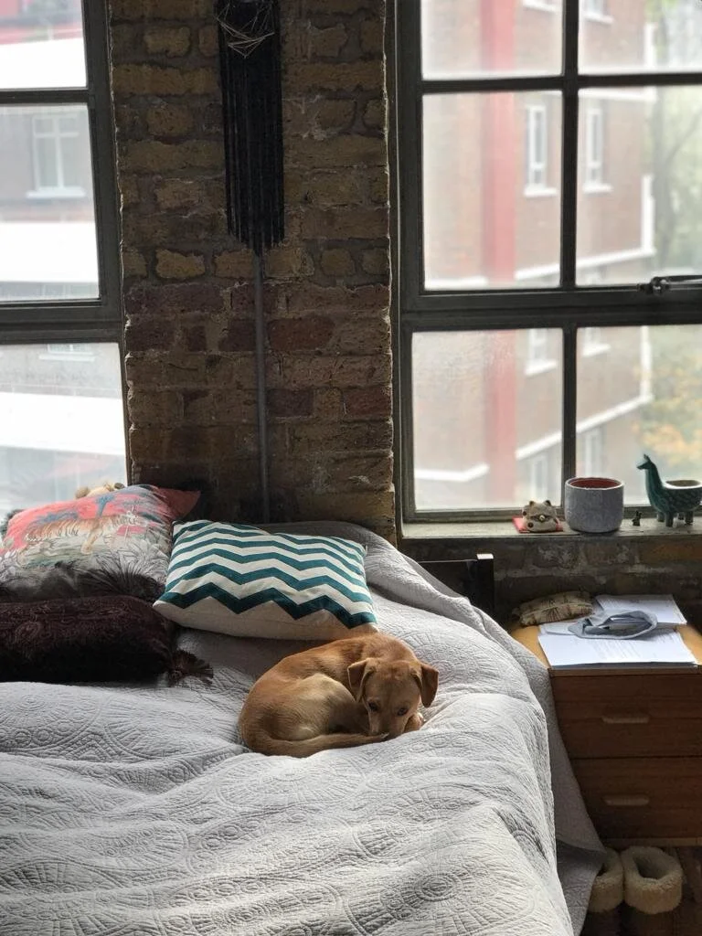 FAA1BE07-C887-49CB-9961-63C05D501B57