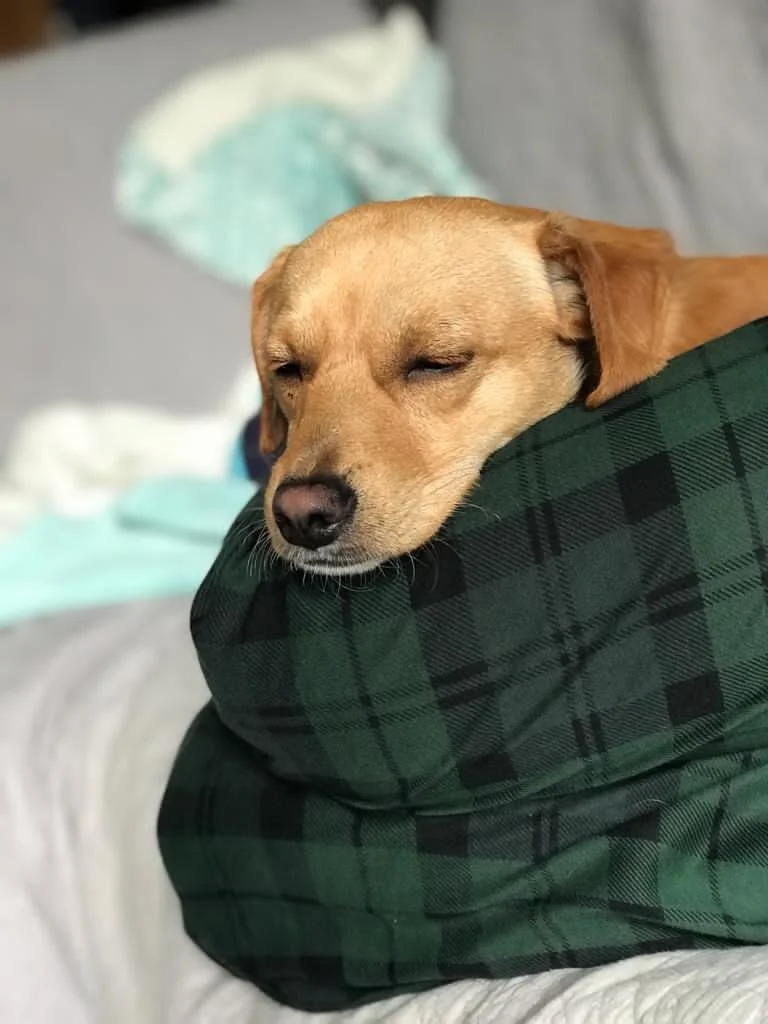 E0A6B811-BF66-45AB-9355-FF3941734C06