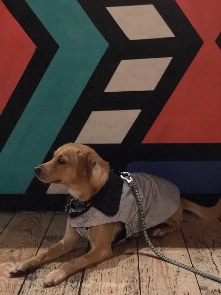 89A5B233-AAF5-4DAC-BE7F-1745D0D9BA10