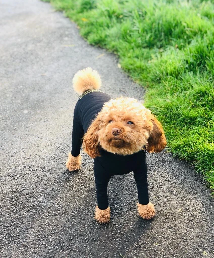 1A7DA13B-1899-41F2-8EE6-FC1D63A4E45B