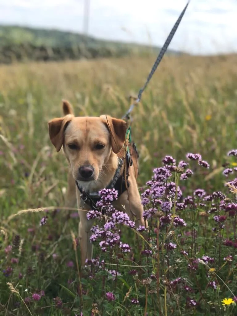 B4BC0FF7-4914-40CD-B10F-AB6AAD98A64C