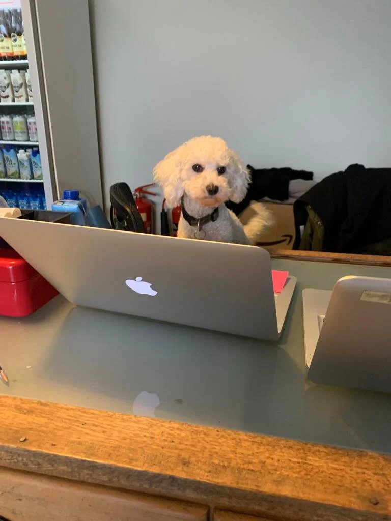 A8E9FF14-5DFA-4D63-B732-1AD4FEB70185