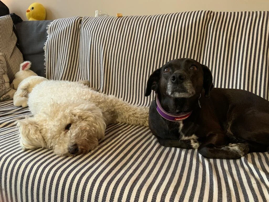 73ADBF7F-089A-471F-83FB-350A345A69B6