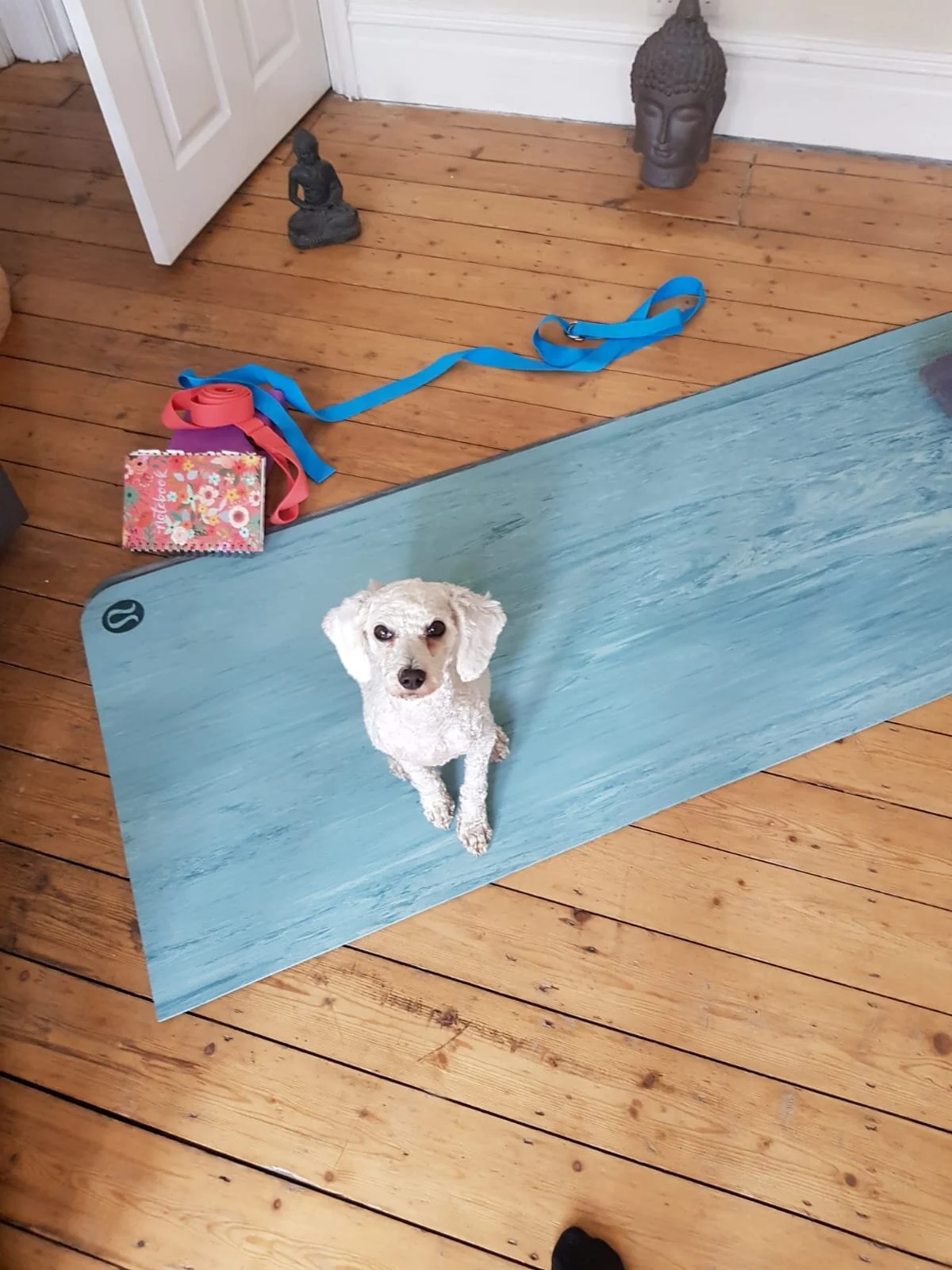 FFDCD7A1-C5E4-4F67-B0CD-9997A5BFE38C