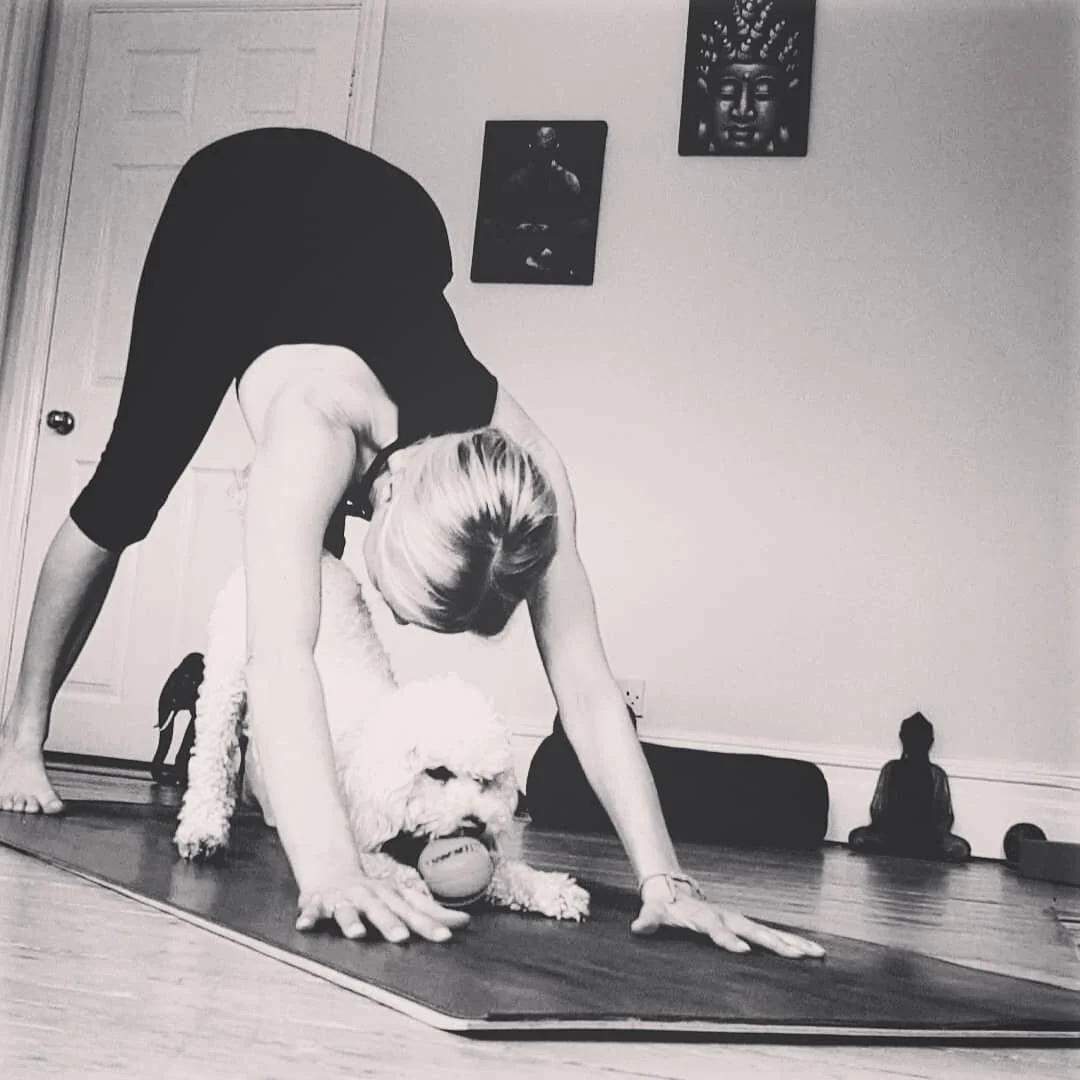 DA3542CA-09D9-48D8-86C7-198BB1252D3A