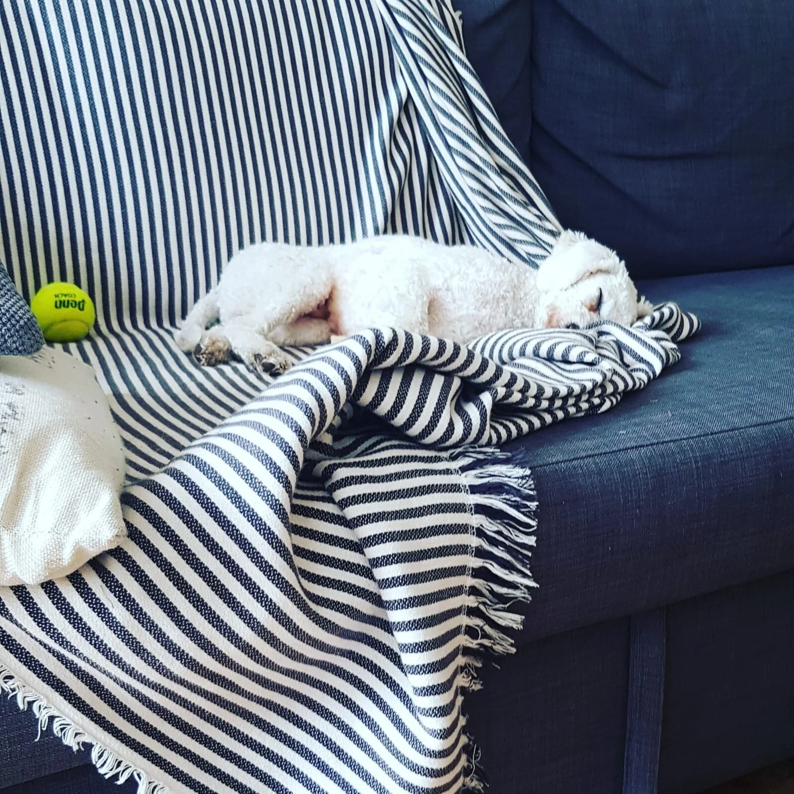 55EC898C-C6E2-4A11-8C3C-4CB9B5DC33C1