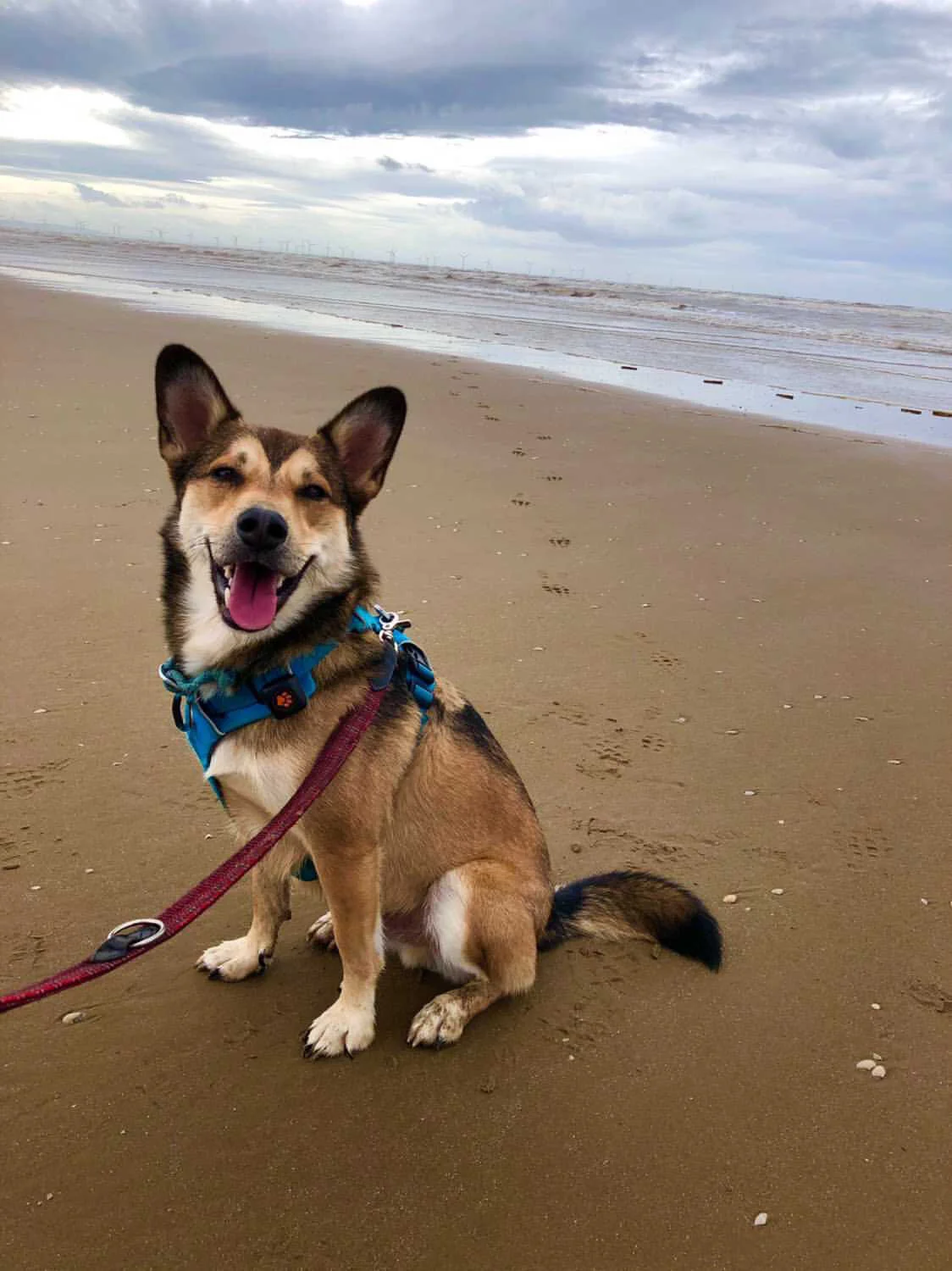 78E29F21-32F4-4418-A256-3C484B784665