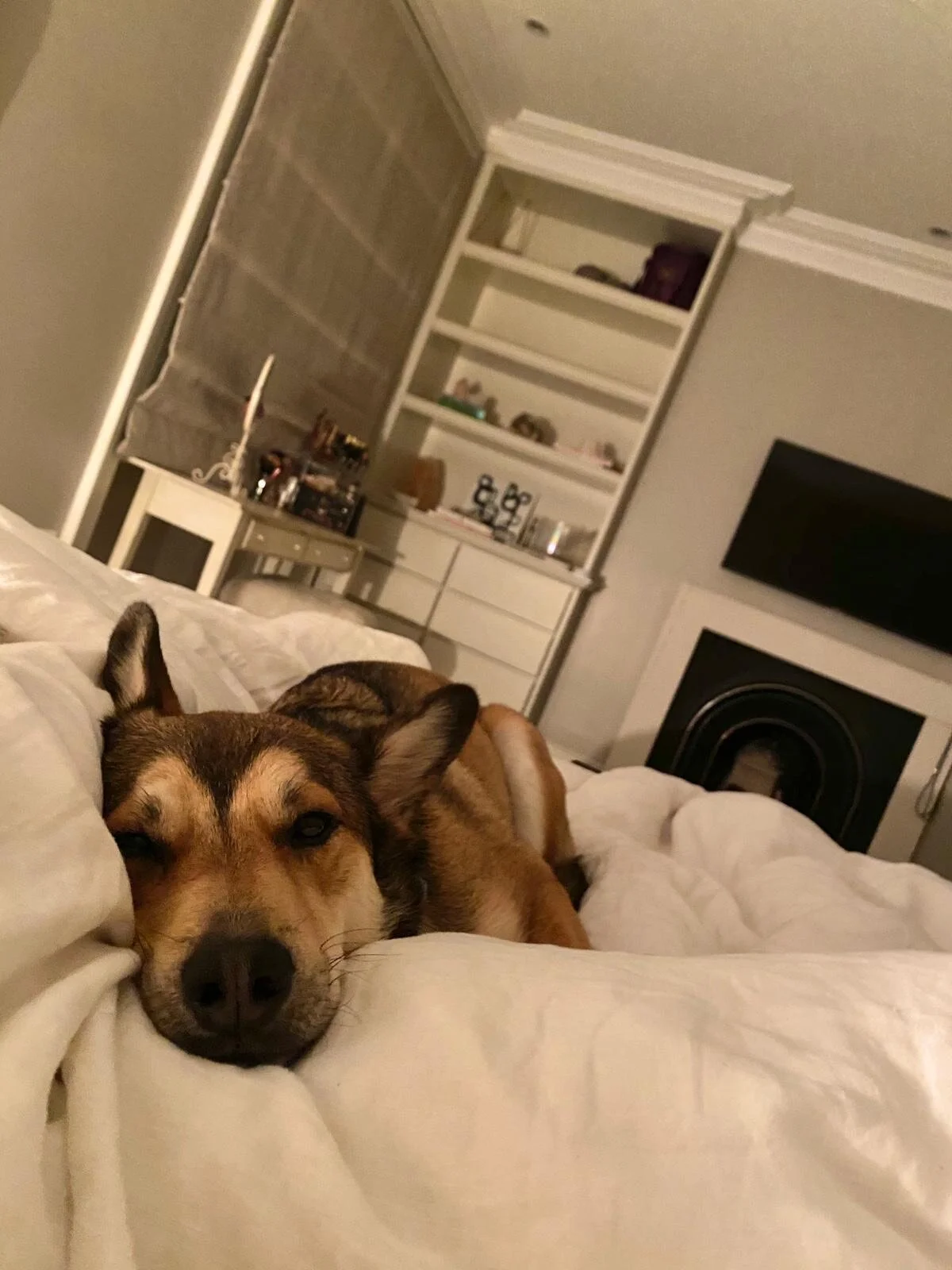 4BFE5317-8928-4B95-BE7B-103C4E127ADF