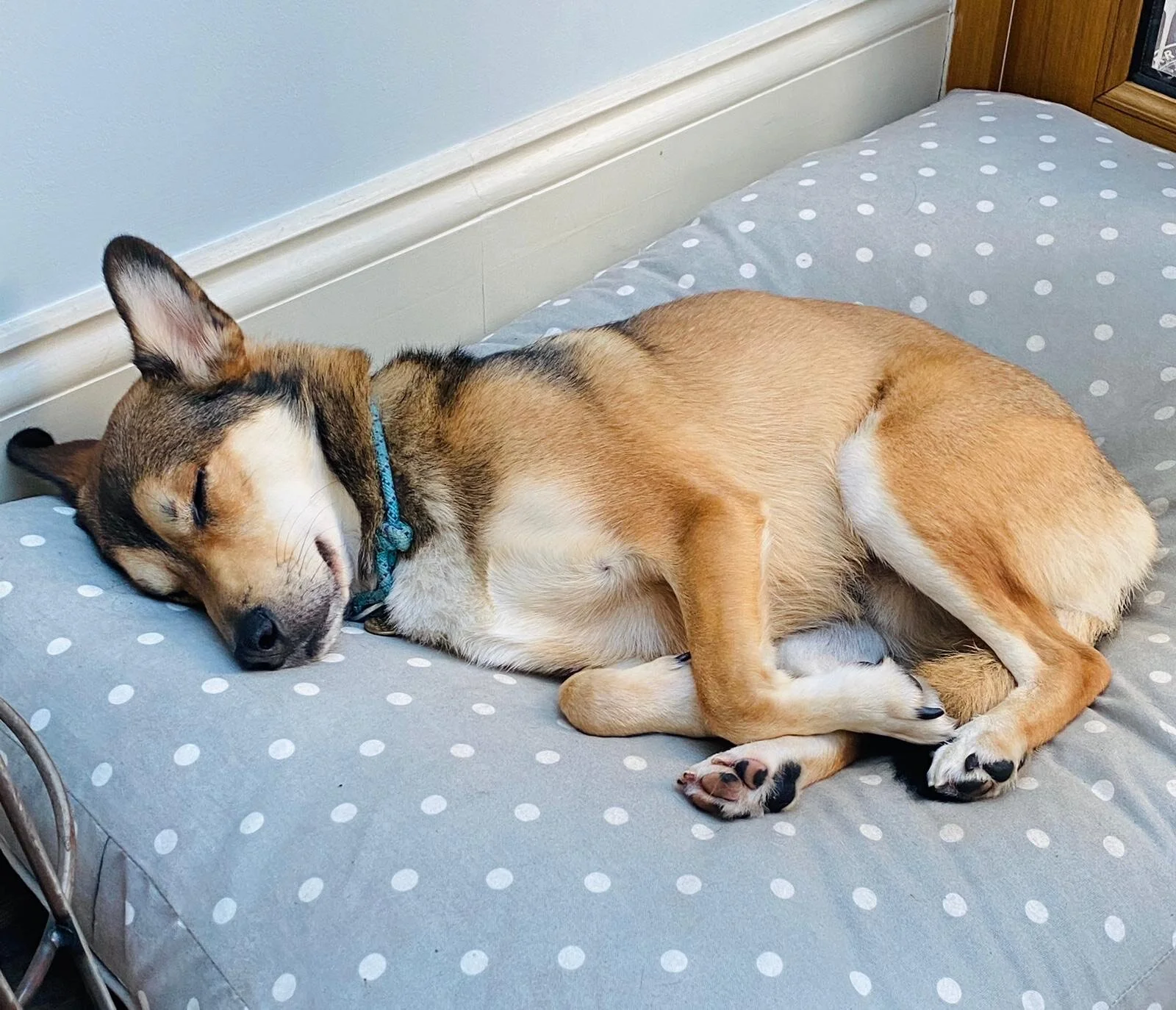 1FFE48E9-BCCC-48B6-A741-233679A2E2BF