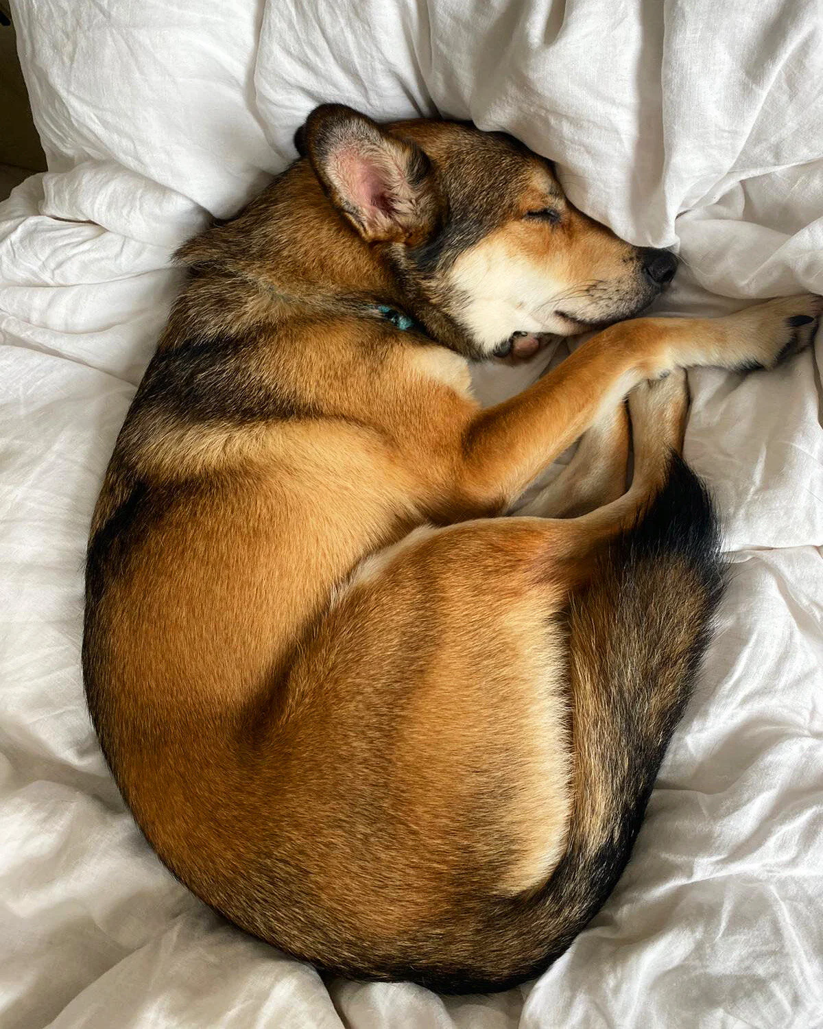 C55EEE1D-1BD3-4C34-92DA-3407D90EB5E4