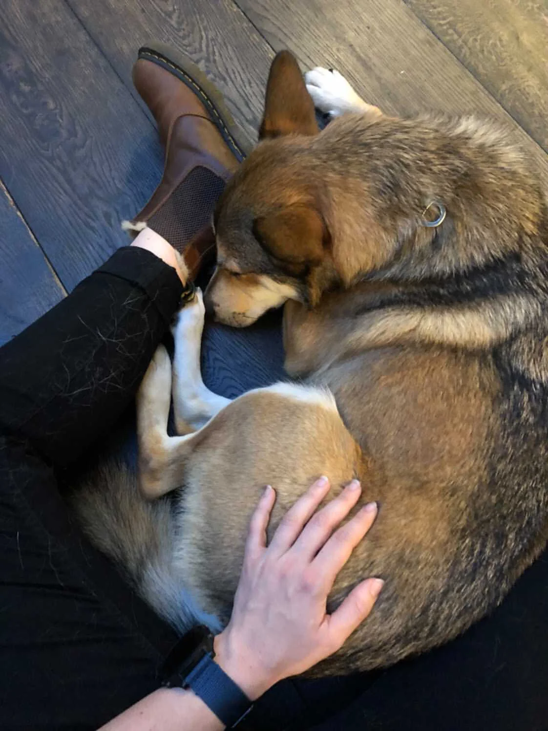 73151968-69D4-4178-93DC-09F330A20057