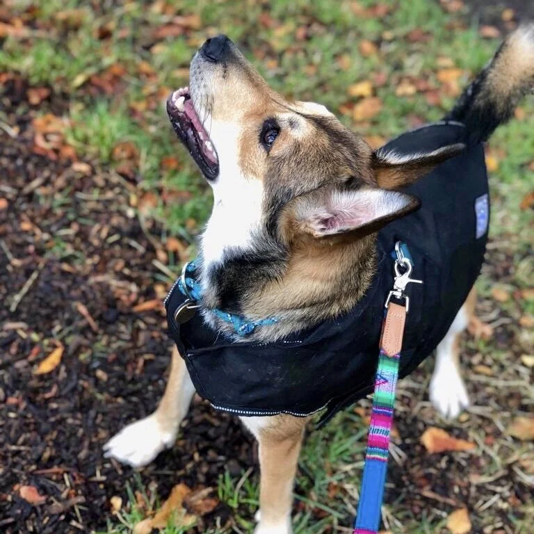 BA47829D-0881-4FB9-9D2D-1E69D2F2B4E1