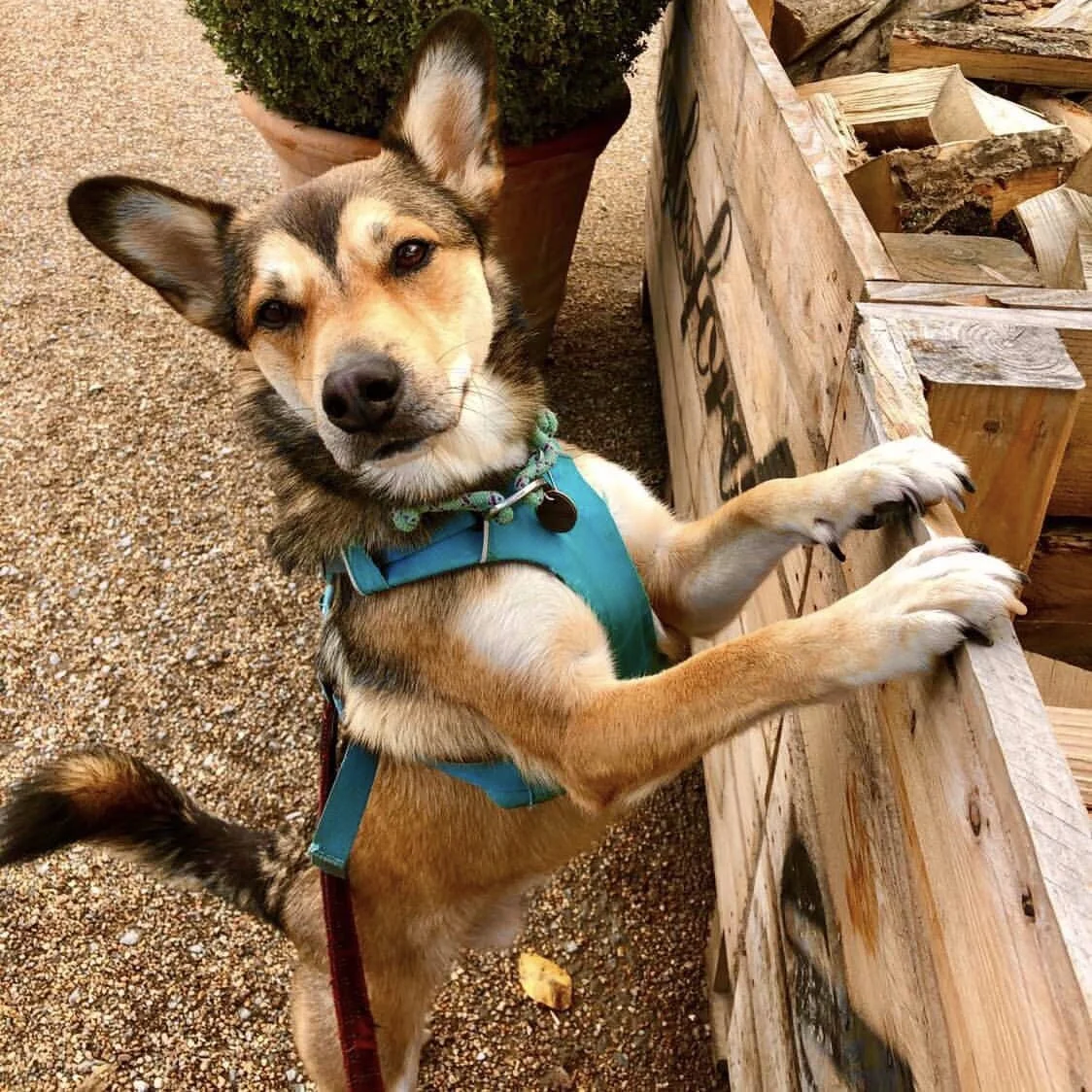 93B368D0-CC07-47B1-AE07-40D9F276B8EA