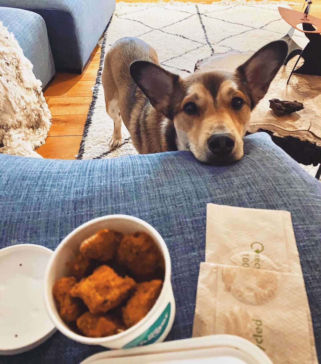 66E81571-7C0E-4F45-A46F-EAD9DB413E98