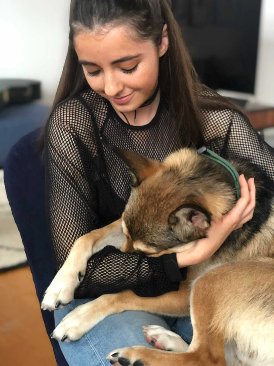 EB9412B6-71F7-4196-8DC6-90E677730F85