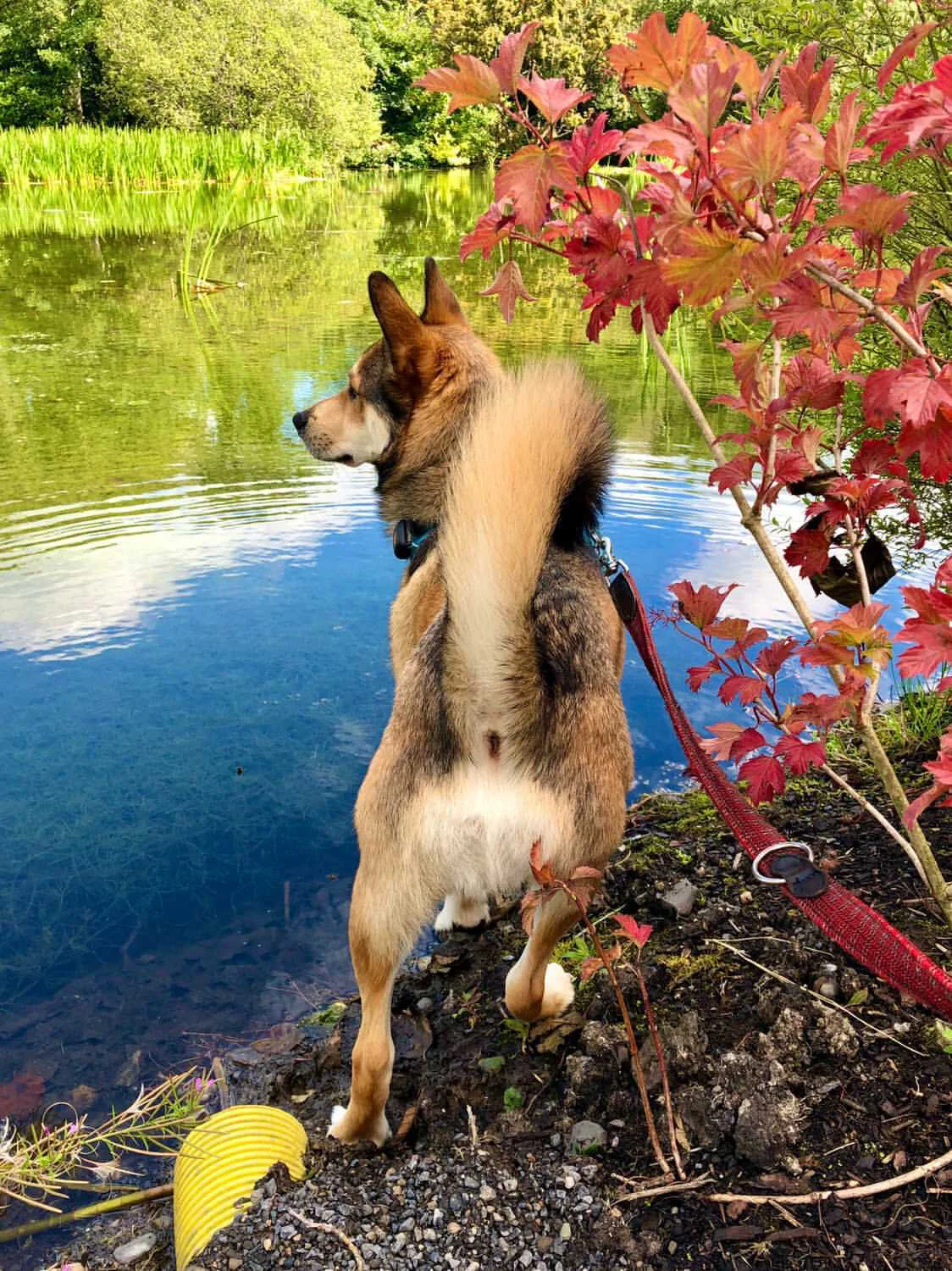 D48A9094-06AF-4175-A1AB-8C4F47AE4BF6