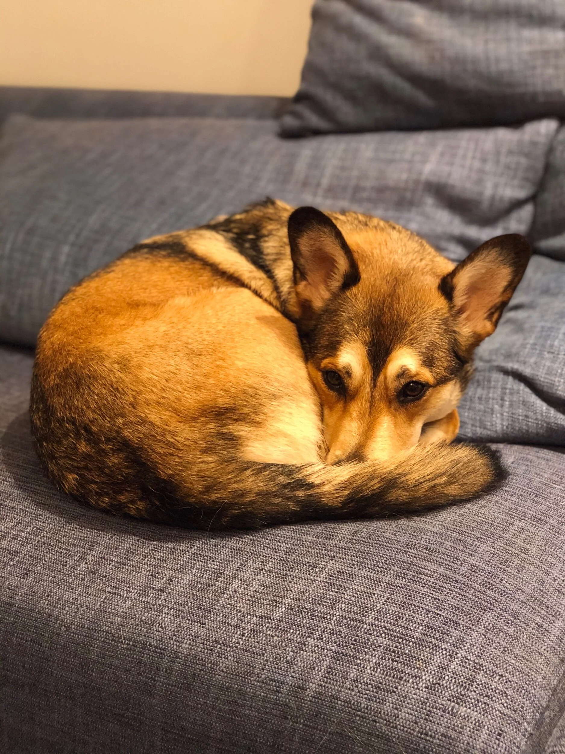 844FF875-7B52-4D14-9984-9AE913816725