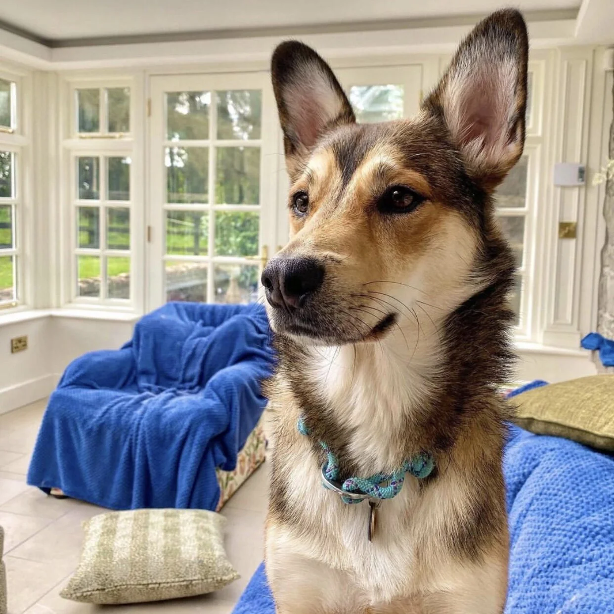 09E8CE5A-8A2A-4BA0-9B05-C685966887CB