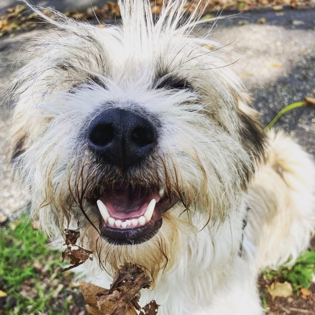 58149336-4DDC-48A7-9607-0BA9A6FB72D1