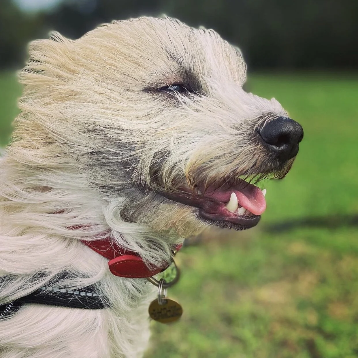 1F47490B-3CE4-4247-99AE-01B17332D65F