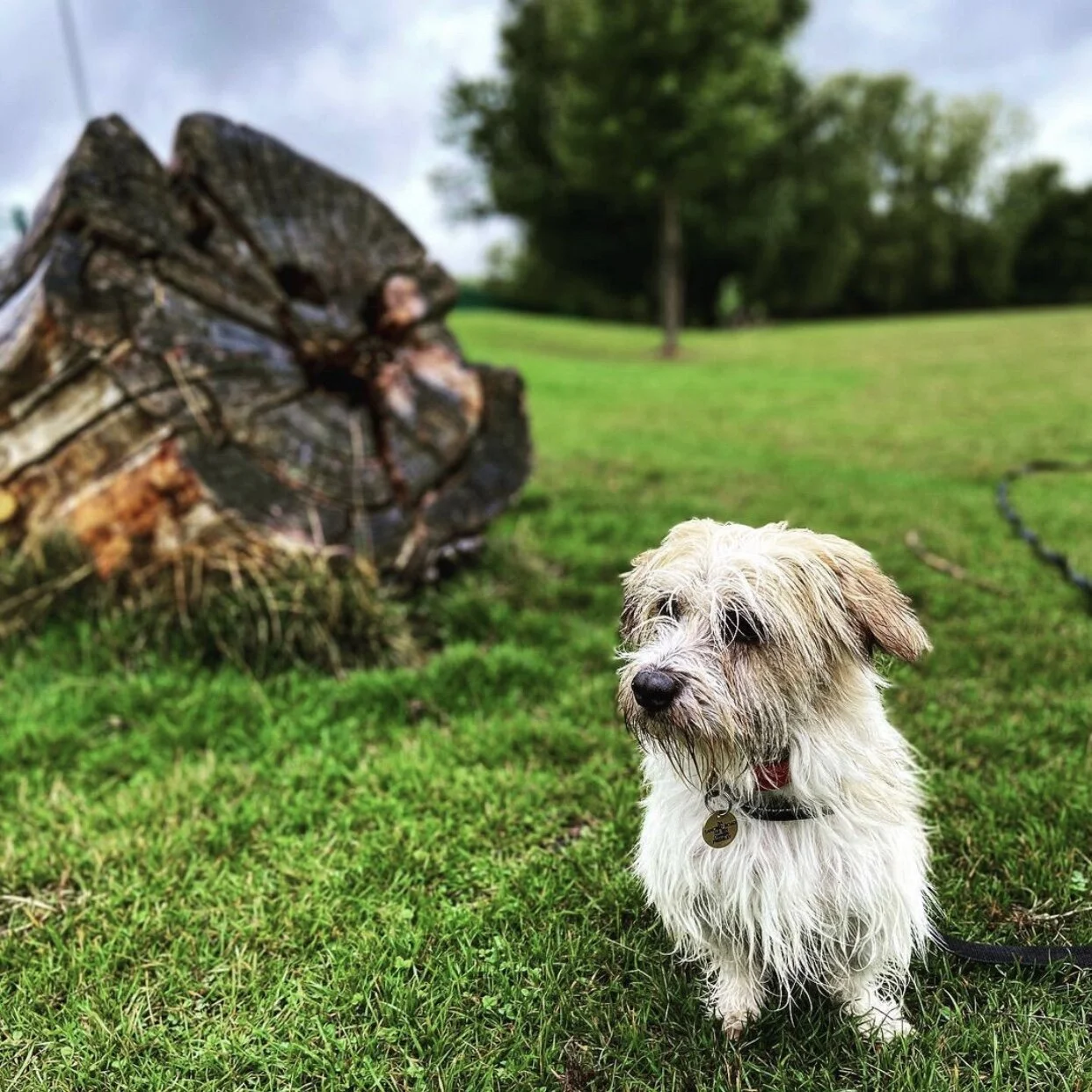 DDDBCBB0-7EE1-4990-9078-165B96C19A90