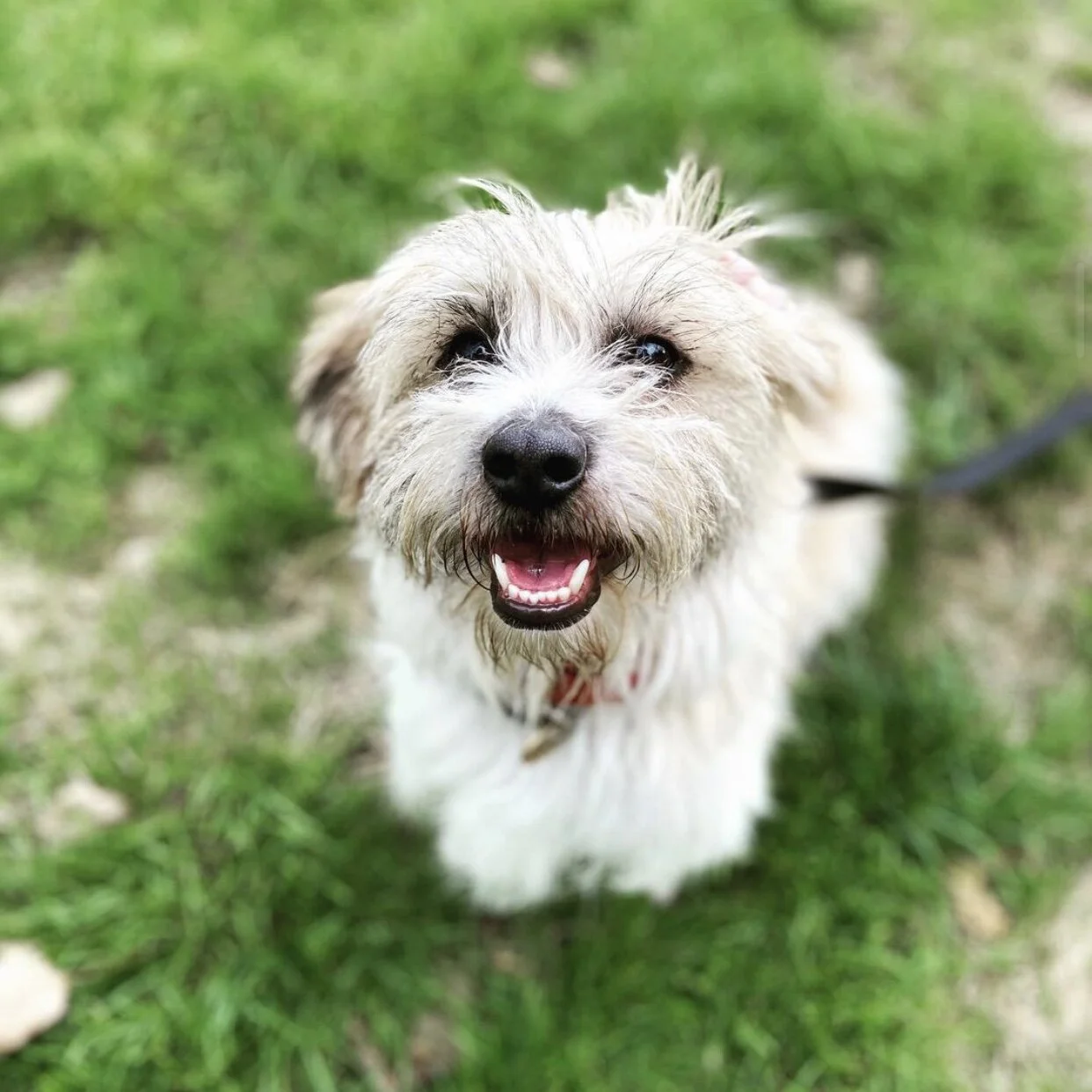 4FD08444-9557-4D5D-B9E3-9E0518B8D5C3