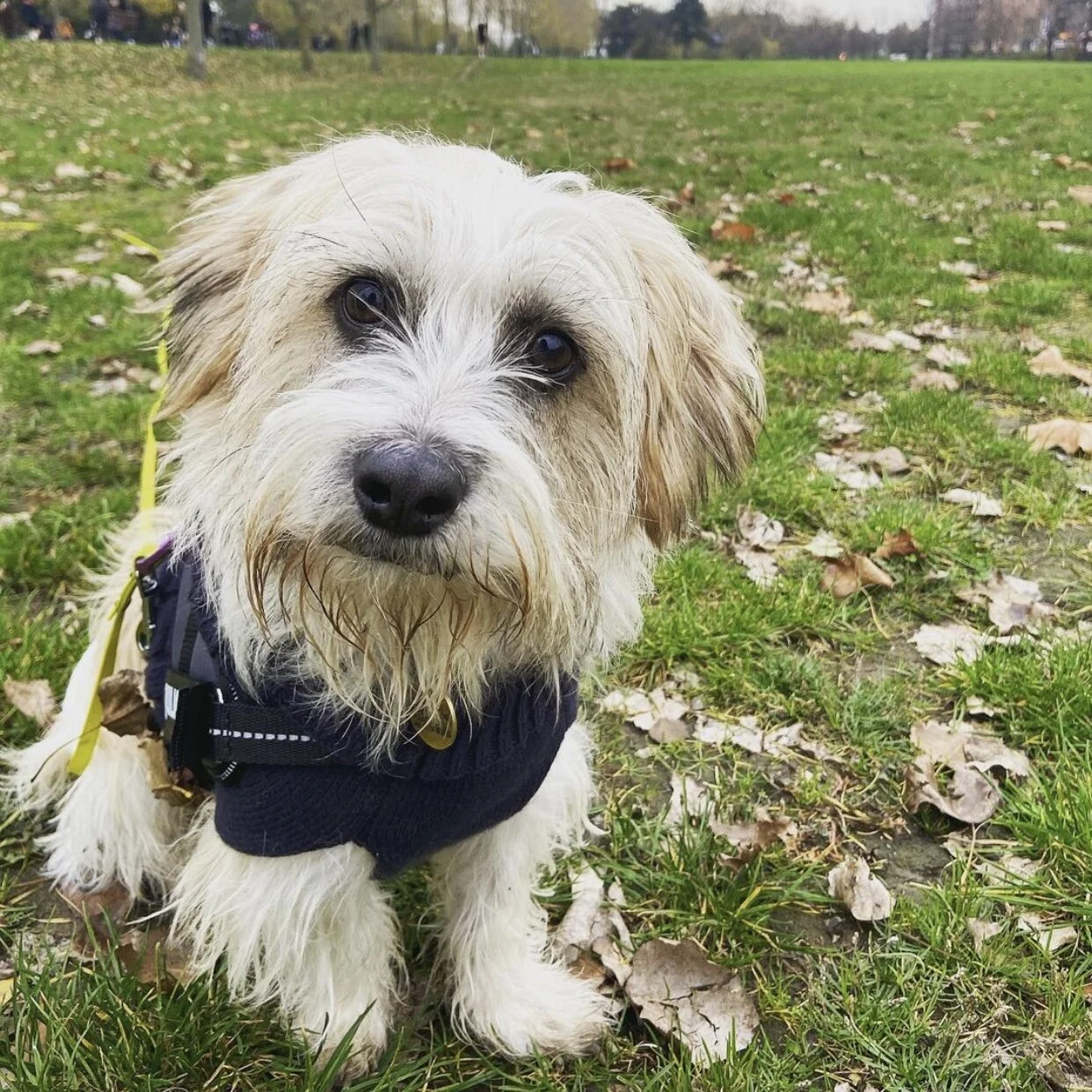 B13BC4C8-6F51-44C1-AF36-8B6B0D886A79