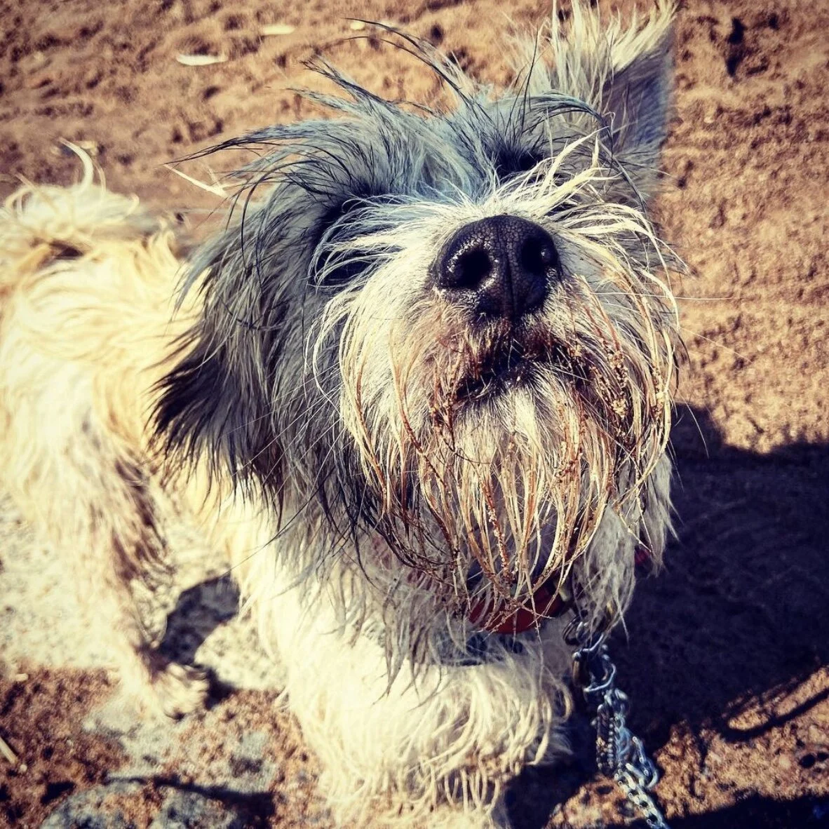 DEF10BCF-E5FA-47B8-8DB8-8E8AB65C79F8