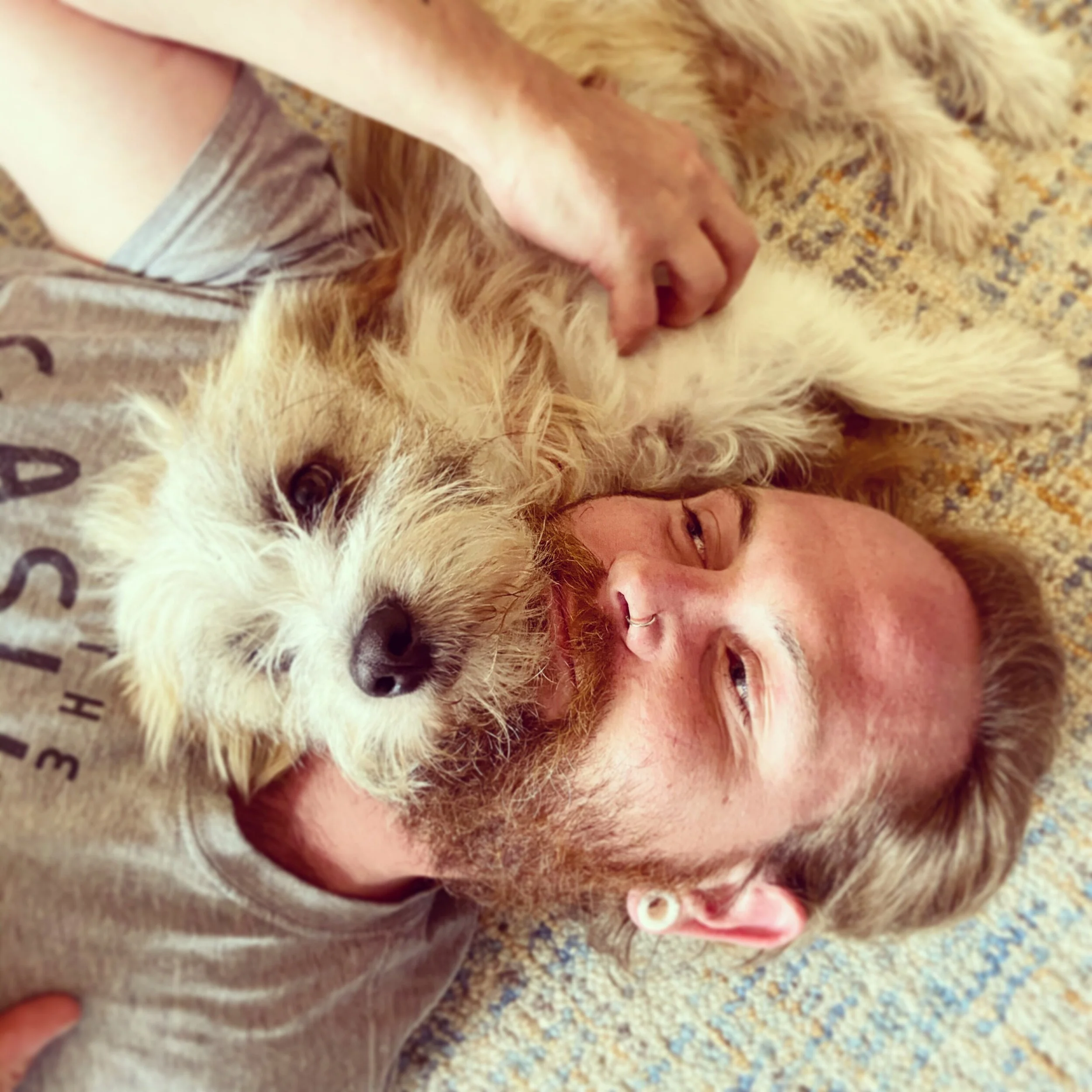 B687A3C8-7006-452F-AD3A-BD441E3FD915