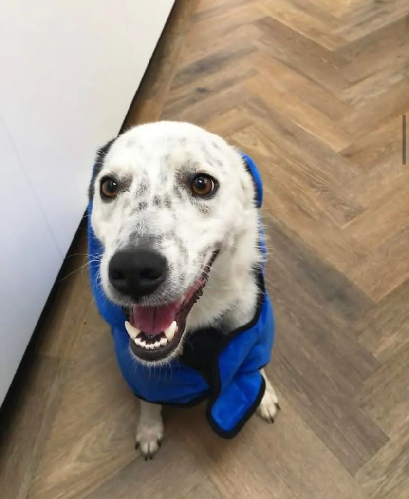 6AD91080-7815-46D0-AB37-90CE05612B18