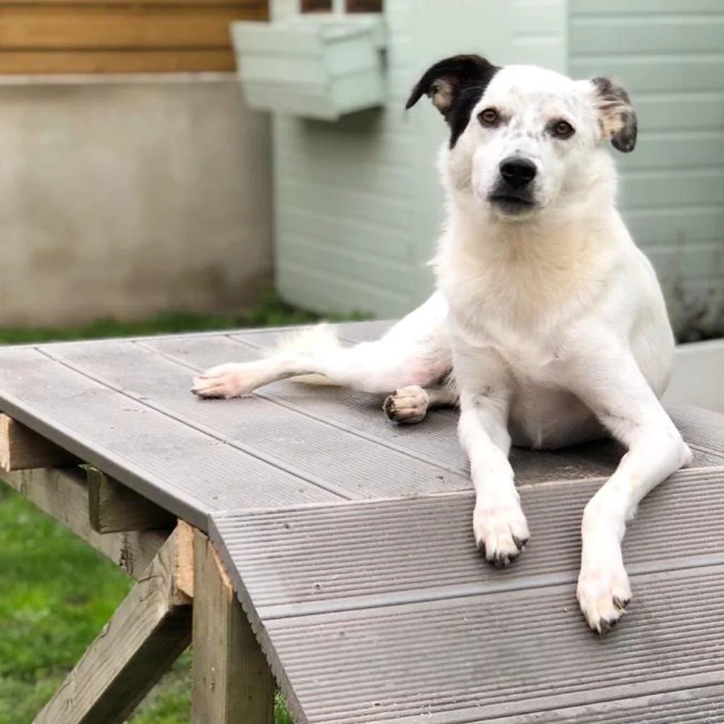 6D420341-CB5C-4CC0-96B3-9E83EA84F7B2