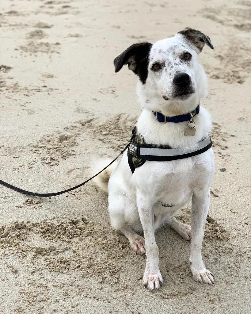 1B00B067-AA22-4CFA-90AF-AAAA357CCEC9