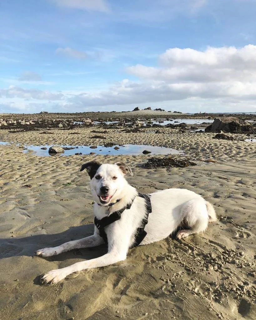 460B4A91-B3C9-4593-868D-6F08B866913B