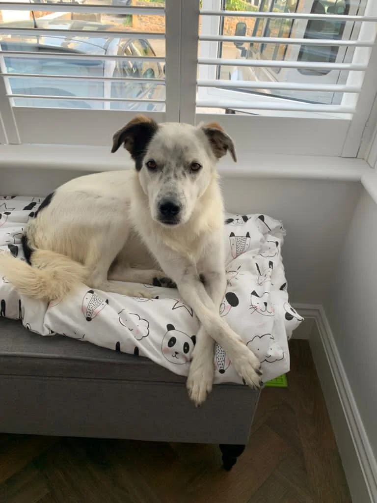 6BD7C126-10E7-47CD-8D5E-48553B971ADA