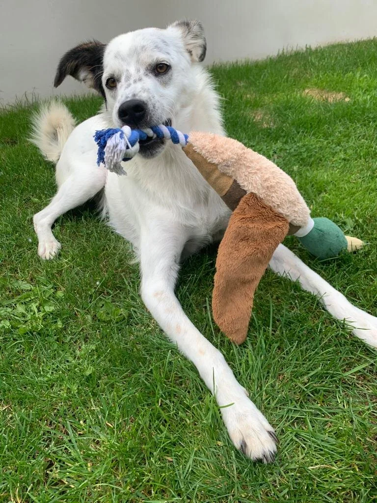 6B8CA7A4-2EB2-4002-87D1-EA0965BF4507