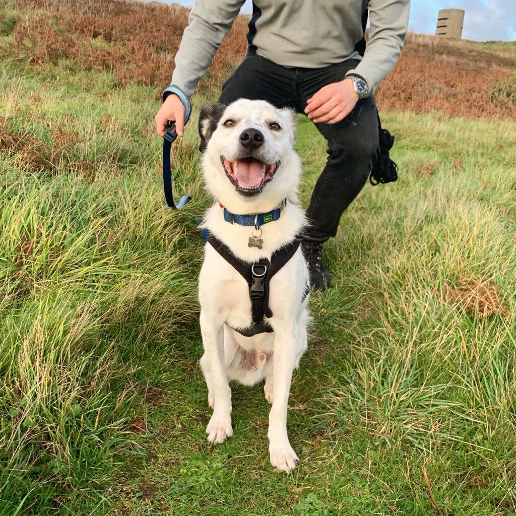 973C61EA-840B-43FC-B31E-C9977CA79DBE