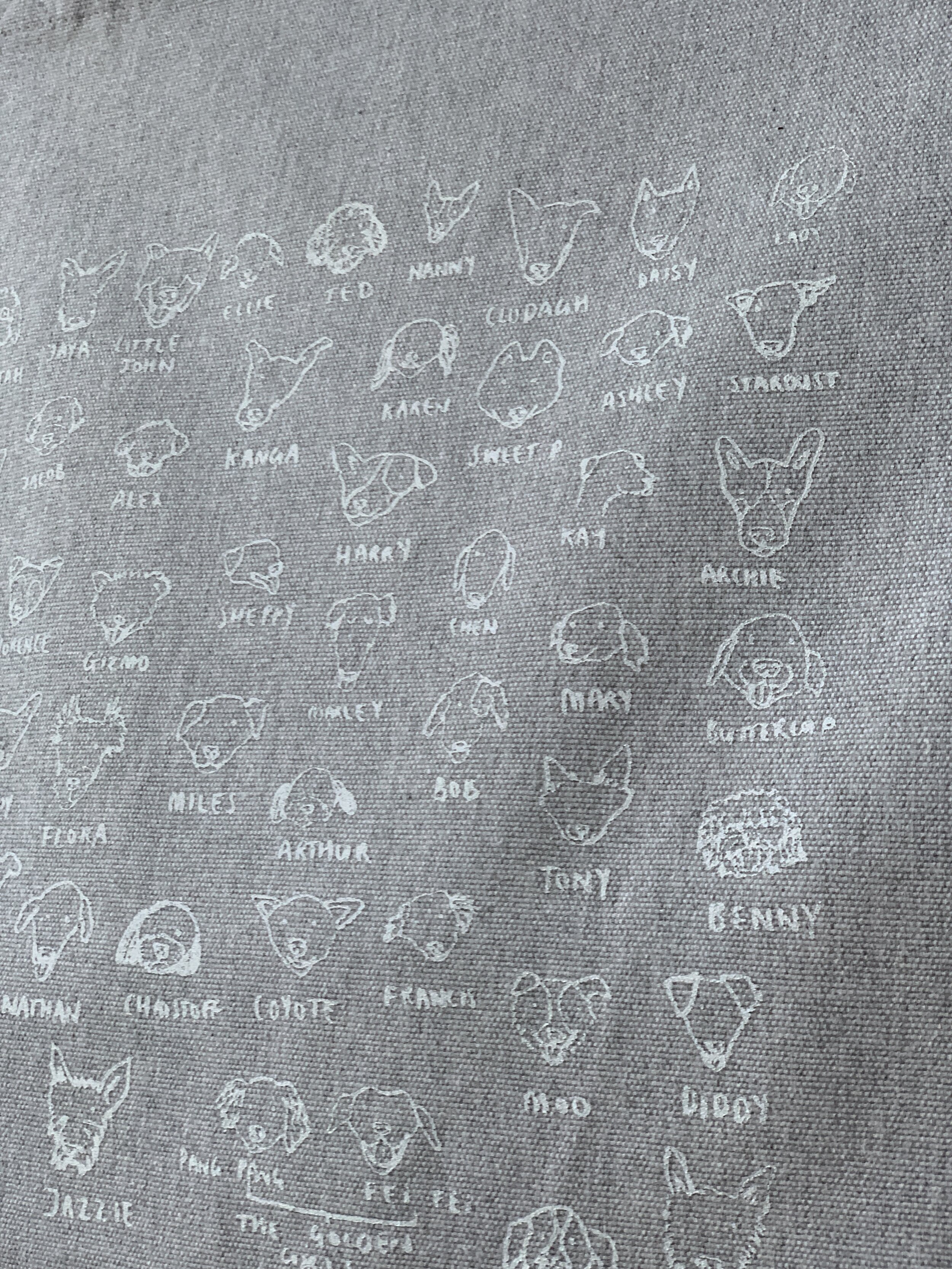 D8A289F6-E72E-4B0A-BACA-1283A13E4AE9