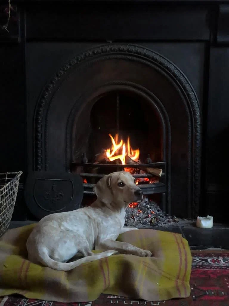 6195664F-F53E-42B8-A429-23FAC5FB05F2