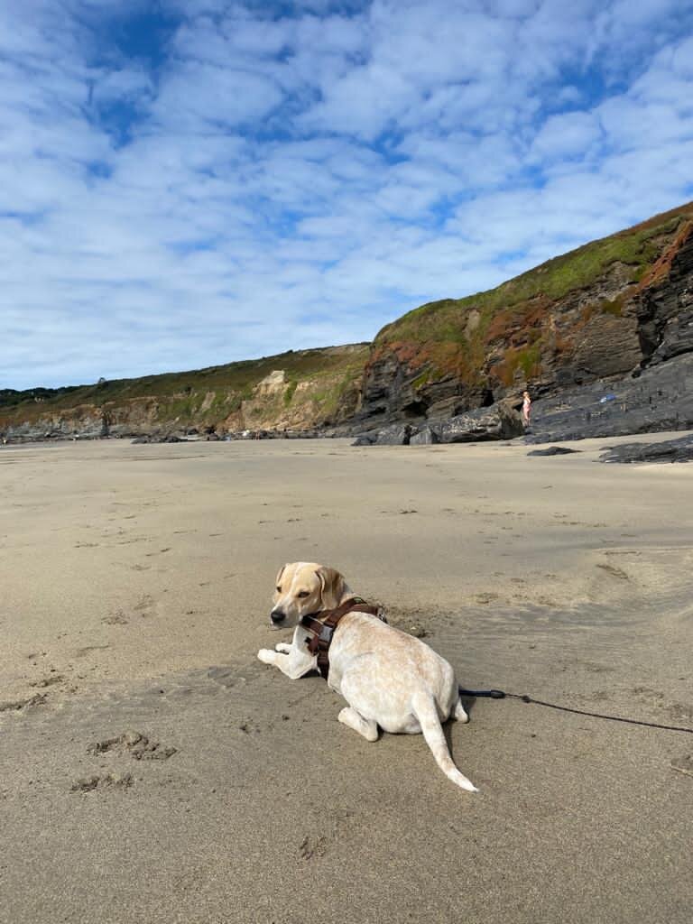 5F34D00C-BA3F-4C49-B443-E3A1F852A473