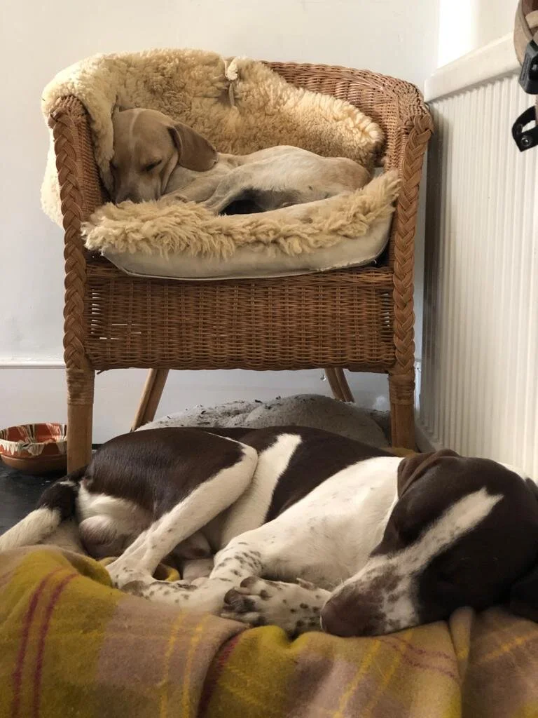 82977809-0C4C-4B7A-96F4-3A4F18E8AF85