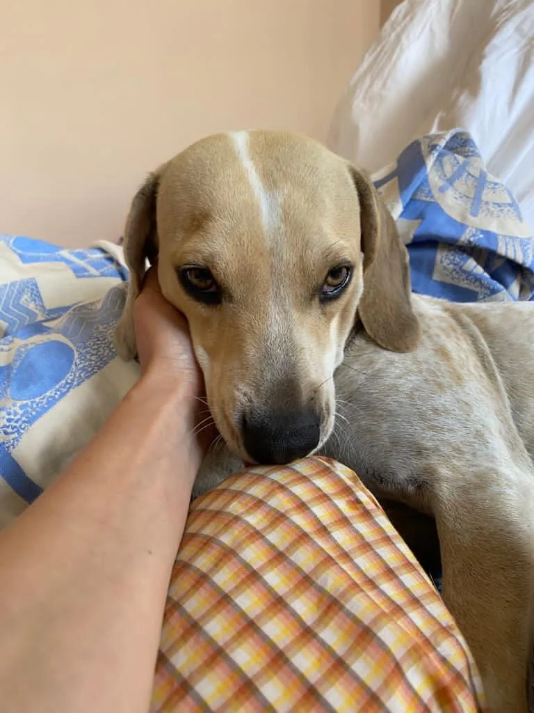 94F67FD9-624E-4B6E-AC3D-A8D2DB42391F