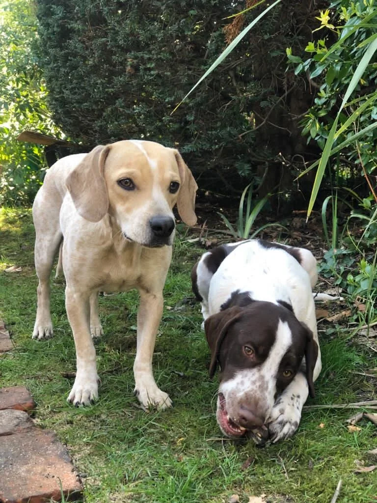 9BB5CB4C-0123-42E0-9908-45DA390E6A2A