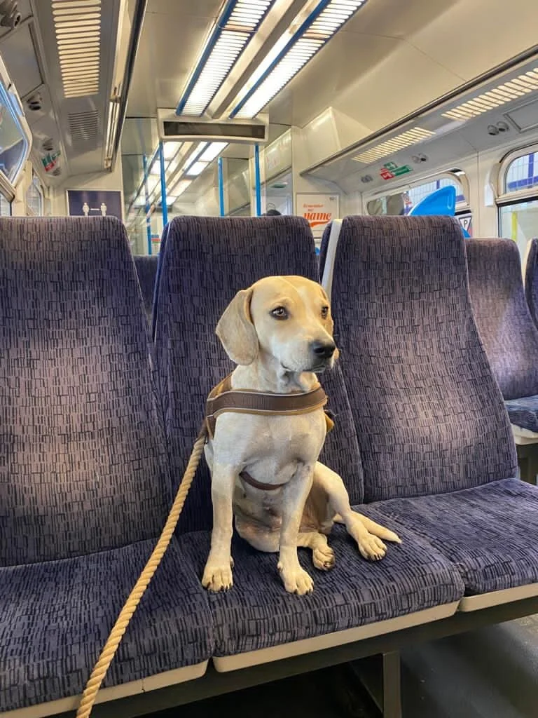 B339600A-991C-48BD-8732-537FB8DABC18