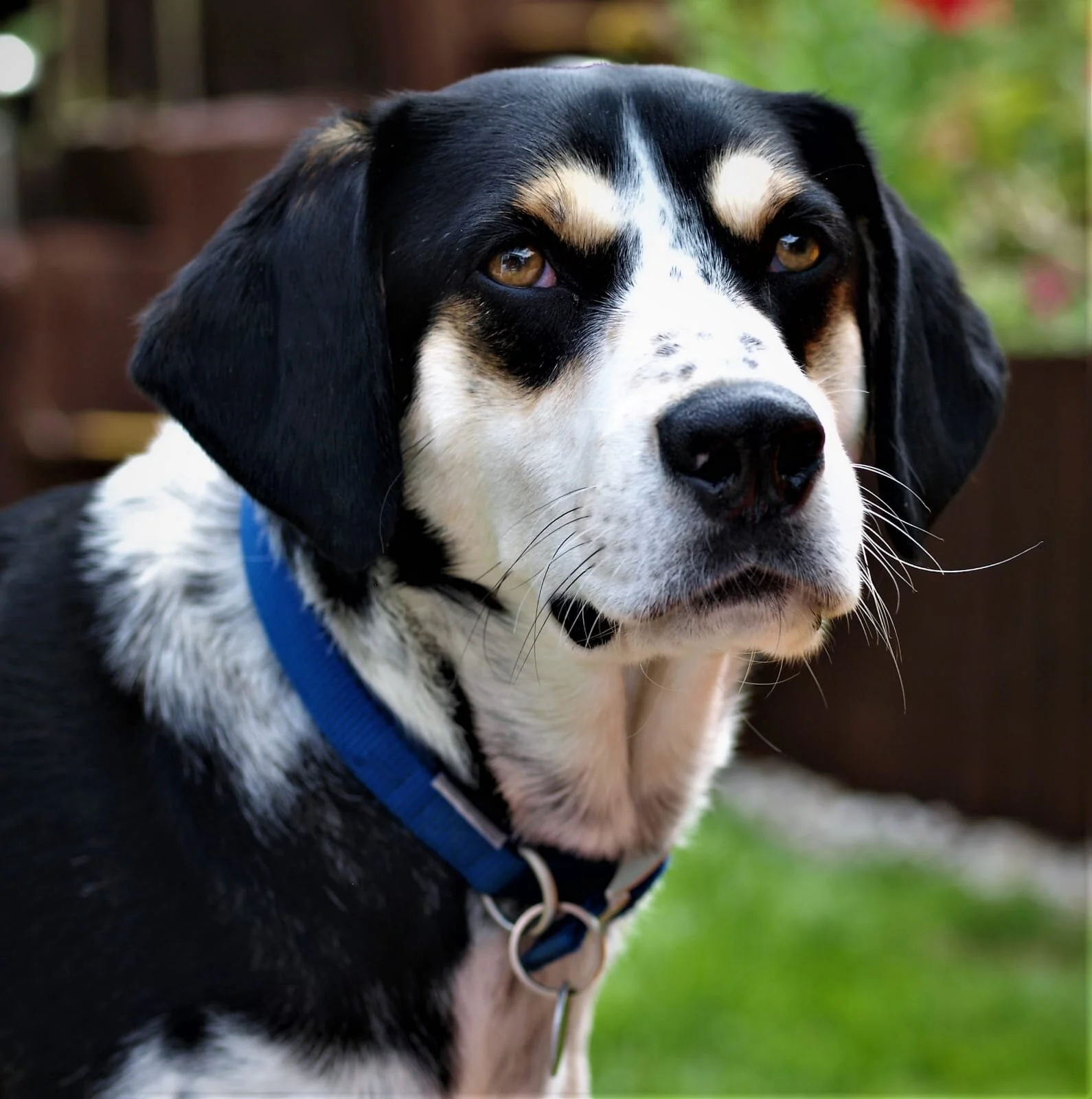 17917F50-E8D4-4A8B-8FDF-A1B7B3FFDA65