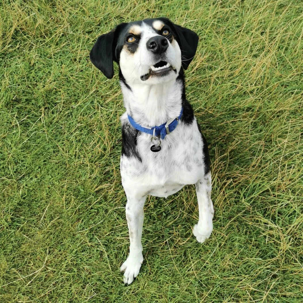 F1552914-CEB7-4C96-892B-69610032A030